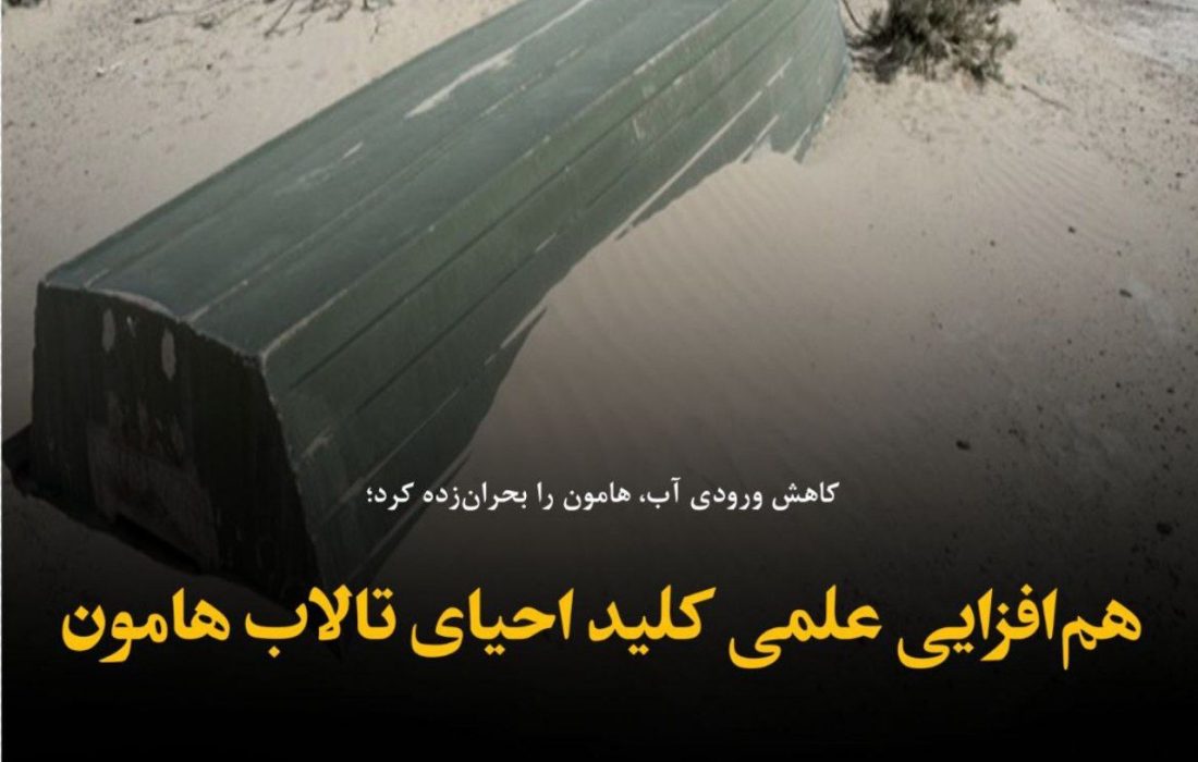 همافزایی علمی کلید احیای تالاب هامون