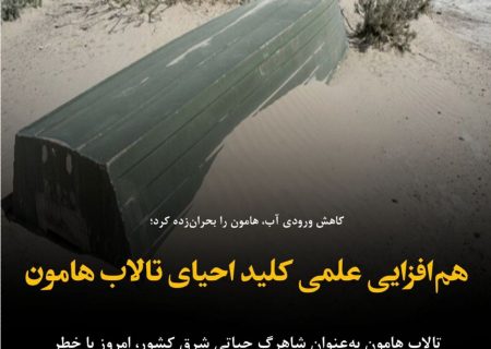 هم‌افزایی علمی کلید احیای تالاب هامون