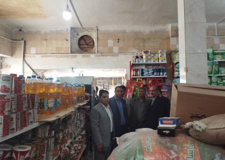 بازدید فرماندار هیرمند از فروشگاه‌های سطح شهر