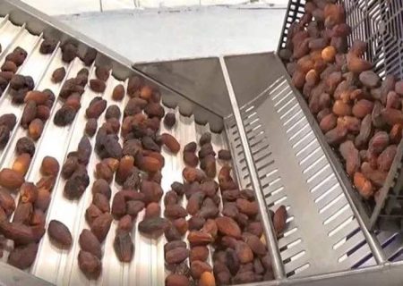 سراوان قطب نوظهور خرمای ایران