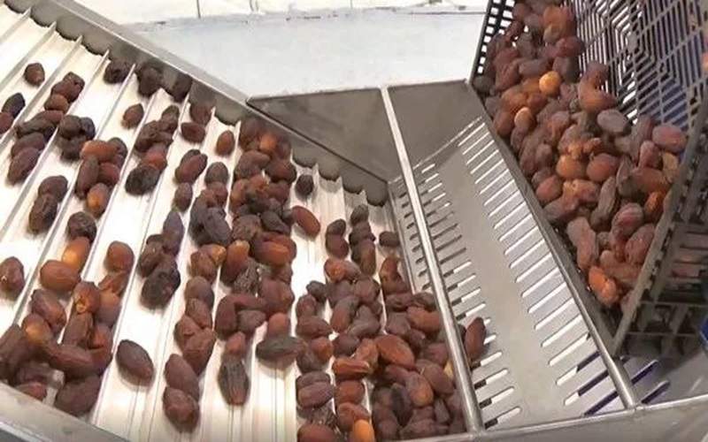 سراوان قطب نوظهور خرمای ایران