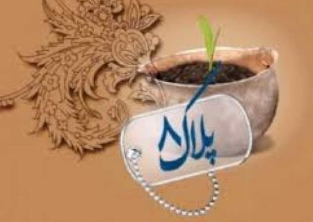 ارزنده‌ترین زینت زن حفظ عفت است