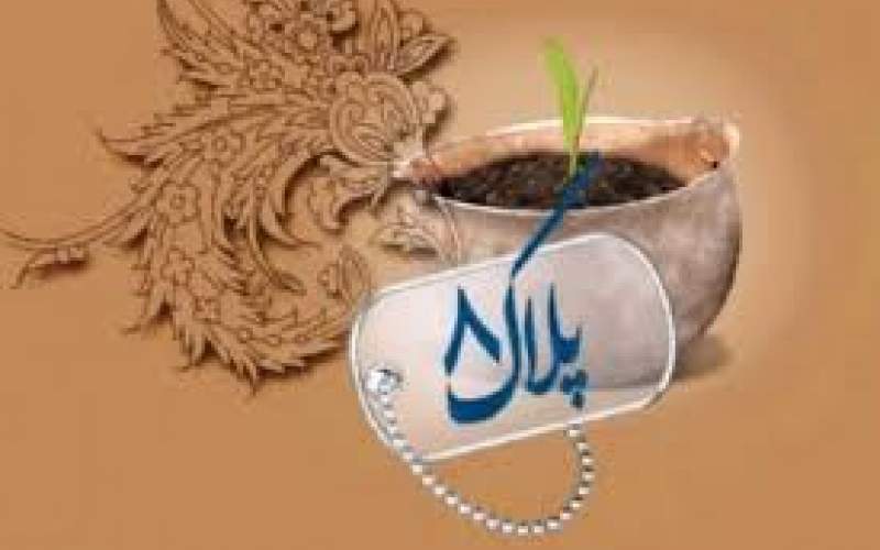 ارزندهترین زینت زن حفظ عفت است