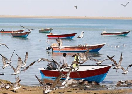 جایگاه بی‌رقیب شیلات سیستان‌وبلوچستان در اقتصاد کشور