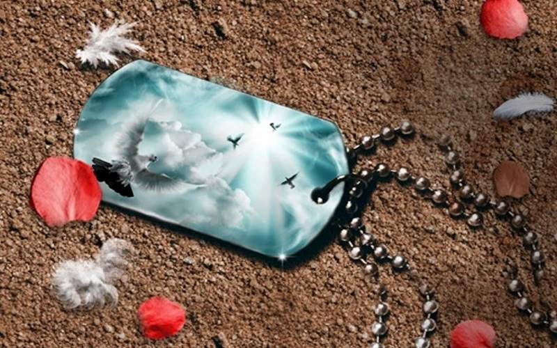 از جوانهای خود مراقبت کنید