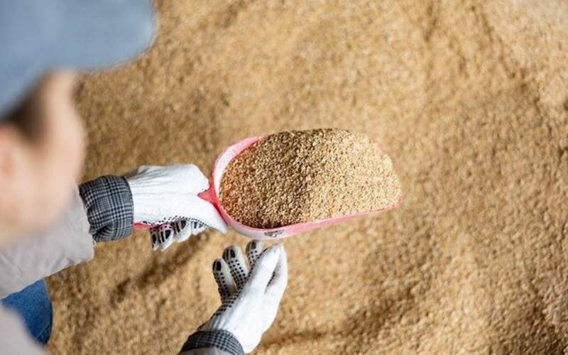 سنگ بنای تولید پایدار محصولات پروتئینی