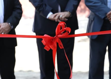 هفته دولت تجدید بیعت با خدمات دولتی