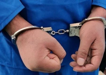 سارق حرفه‌ای در دام پلیس هیرمند