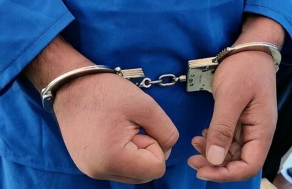 سارق حرفهای در دام پلیس هیرمند