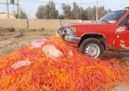 معدوم‌سازی بیش از ۶ تن فرآورده‌های یخی زهک