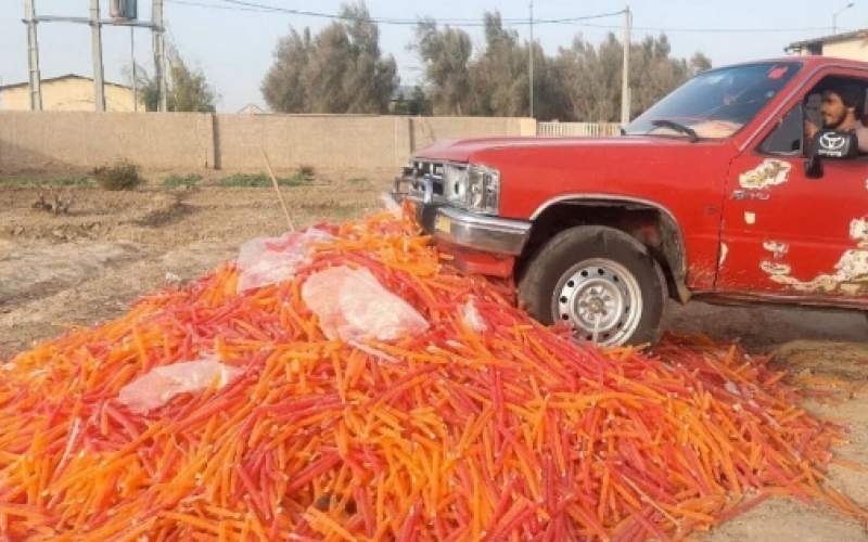 معدومسازی بیش از ۶ تن فرآوردههای یخی زهک