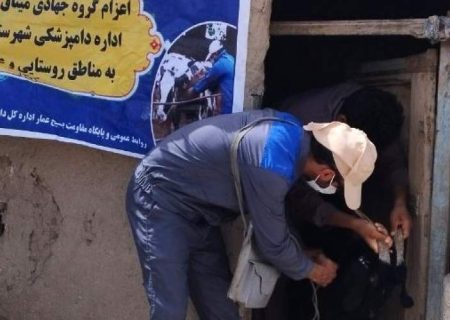 آغاز مرحله اول واکسیناسیون تب برفکی در زابل