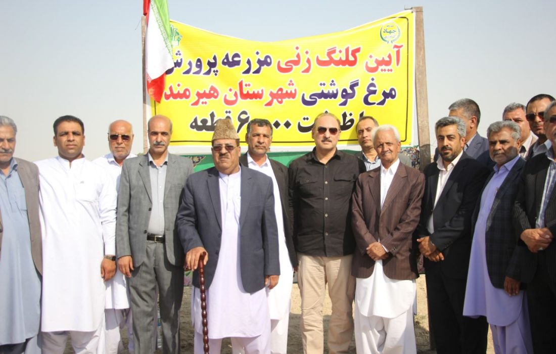 آغاز اجرای پروژه مرغداری ۶۰ هزار قطعه‌ای در بخش قرقری