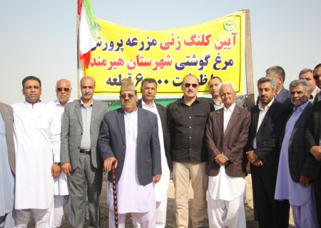 آغاز اجرای پروژه مرغداری ۶۰ هزار قطعه‌ای در بخش قرقری