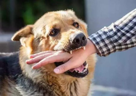 هاری بیماری مرگبار اما کاملاً قابل پیشگیری