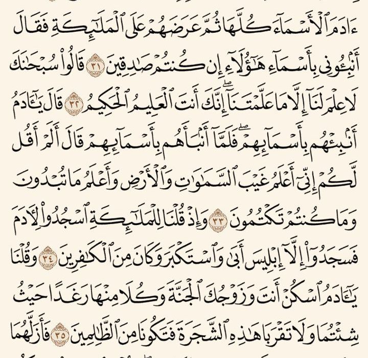 شروع صبح با یک صفحه از قرآن