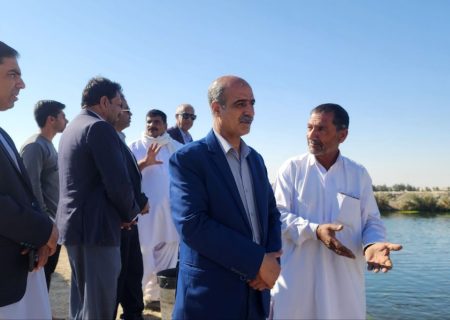 استخرهای پرورش ماهی نقش مهمی در اقتصاد محلی دارند