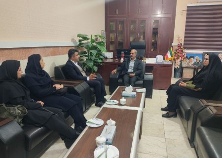 تأکید بر توسعه روابط فرهنگی‌هنری مرزی در هیرمند.