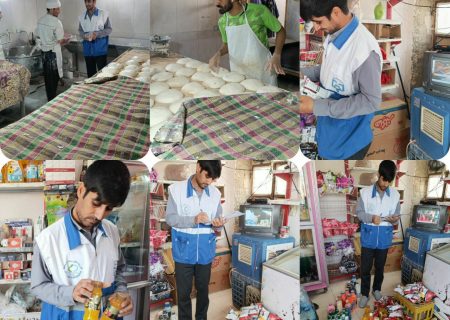 بازدید کارشناسان سلامت از مراکز مواد غذایی هیرمند