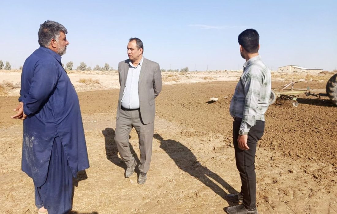 تأکید بر کشت گلرنگ در هیرمند