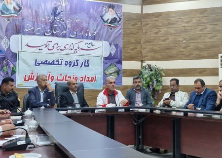 برگزاری کارگروه تخصصی امداد و نجات در هیرمند