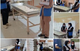 استمرار بازرسی و نظارت بر نانوایی هیرمند