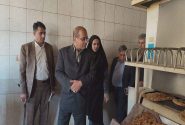 ۴ واحد نانوایی متخلف در زابل پلمب شد