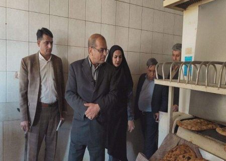 ۴ واحد نانوایی متخلف در زابل پلمب شد