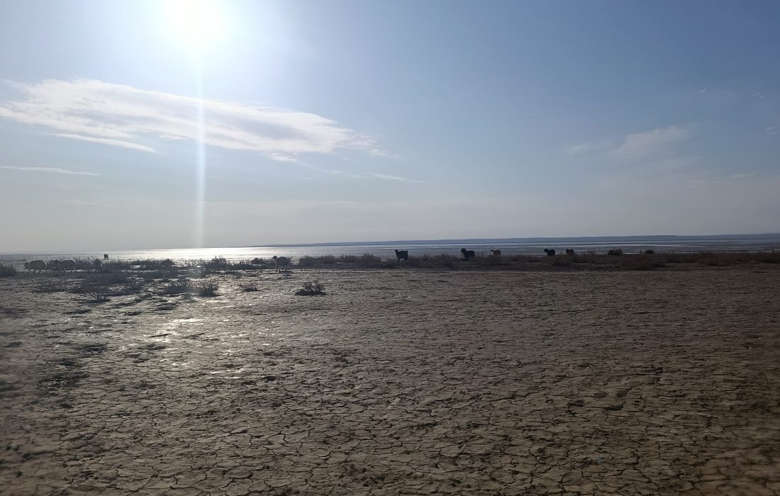 زندگی امیدآفرین عشایر در بستر خشکیده هامون