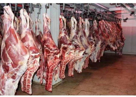 ظرفیت‌ ممتاز تأمین گوشت کشور در سیستان‌وبلوچستان