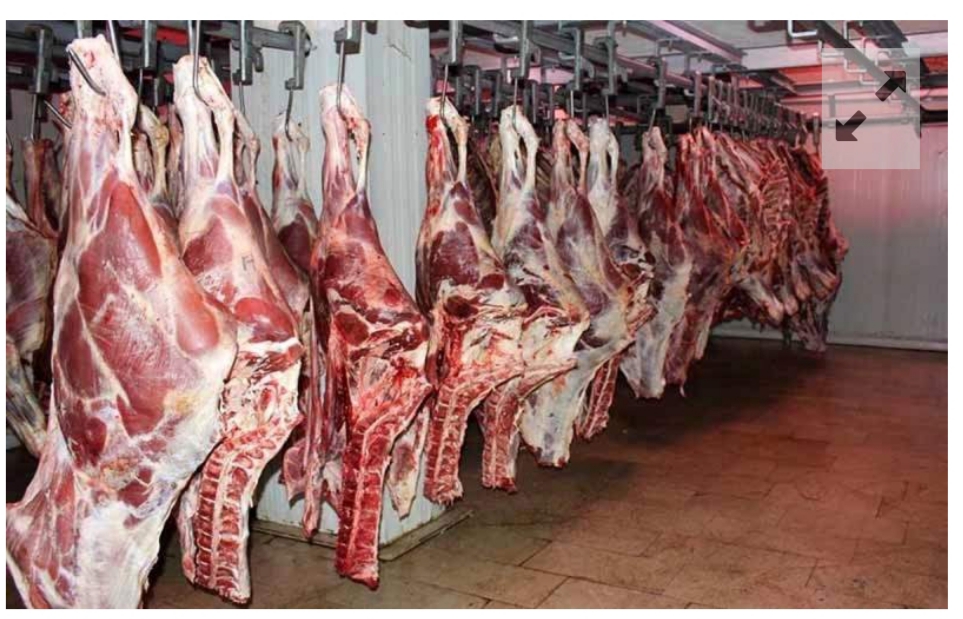 ظرفیت‌ ممتاز تأمین گوشت کشور در سیستان‌وبلوچستان