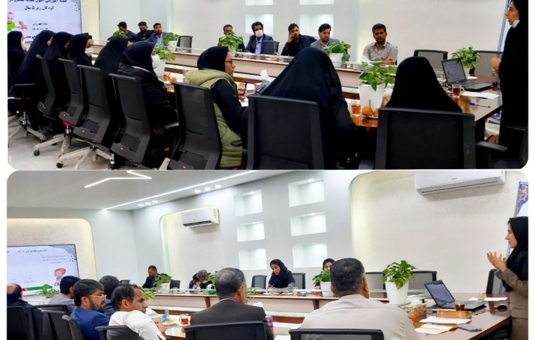 برگزاری کارگاه آموزشی اصول تغذیه صحیح برای کودکان هیرمند