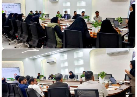 برگزاری کارگاه آموزشی اصول تغذیه صحیح برای کودکان هیرمند