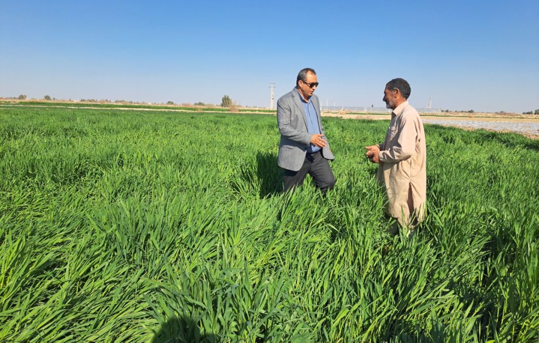 بازدید میدانی از ظرفیت‌های کشاورزی شندل