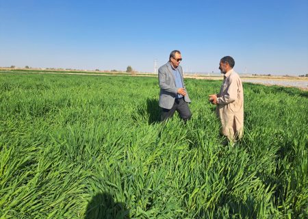 بازدید میدانی از ظرفیت‌های کشاورزی شندل