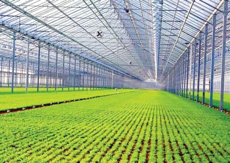 رونق اقتصادی شمال سیستان‌وبلوچستان با طرح‌های جدید