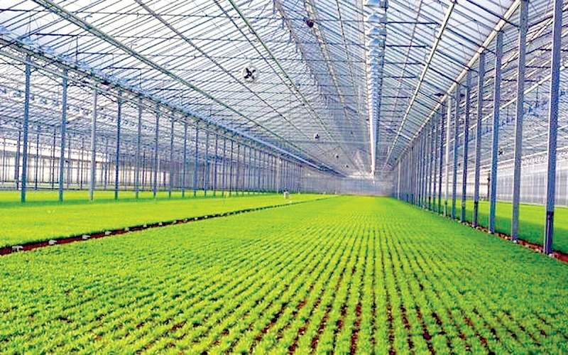 رونق اقتصادی شمال سیستان‌وبلوچستان با طرح‌های جدید