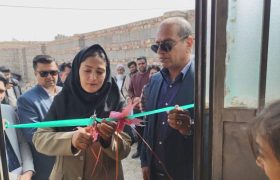 افتتاح طرح پرورش قارچ خوراکی در زابل