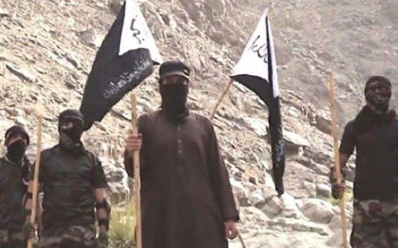 ایمان شهنوازی نامی جدید در دستگاه کشتار مزدوران صهیونیست