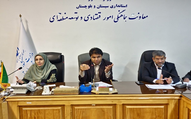 برنامه دقیق تأمین کالا، نویدبخش ثبات قیمت است