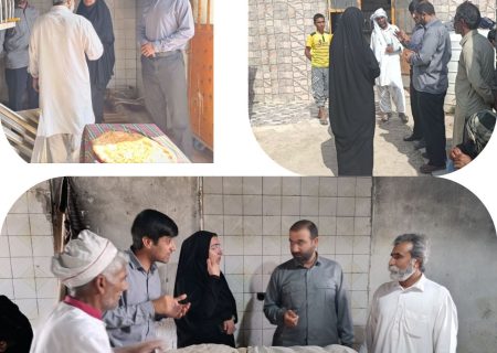 بازدید مدیر شبکه بهداشت و درمان و هیرمند از نانوایی‌های سطح شهرستان