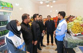 بازدید اعضای کارگروه تنظیم بازار هیرمند