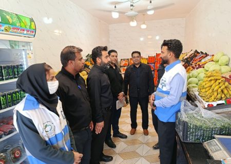 بازدید اعضای کارگروه تنظیم بازار هیرمند