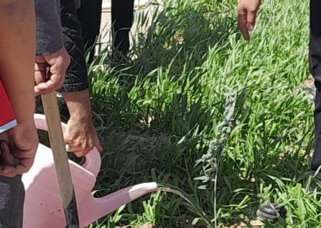 کاشت نهال امید و مقاومت
