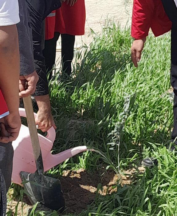 کاشت نهال امید و مقاومت