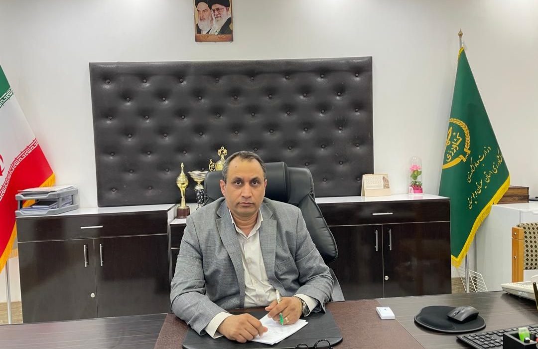 توزیع ۱۰ تن بذر سورگوم علوفهای در هیرمند با هدف تقویت الگوی کشت