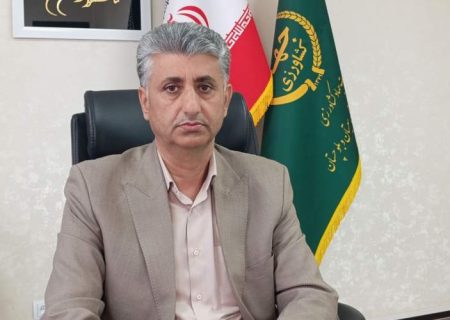 تولید بیش از ۹۰ تن گوشت مرغ در زابل