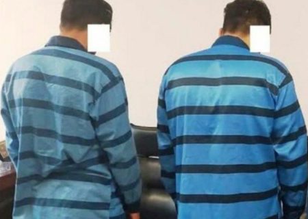 دستگیری سارقان احشام در شهرستان هیرمند