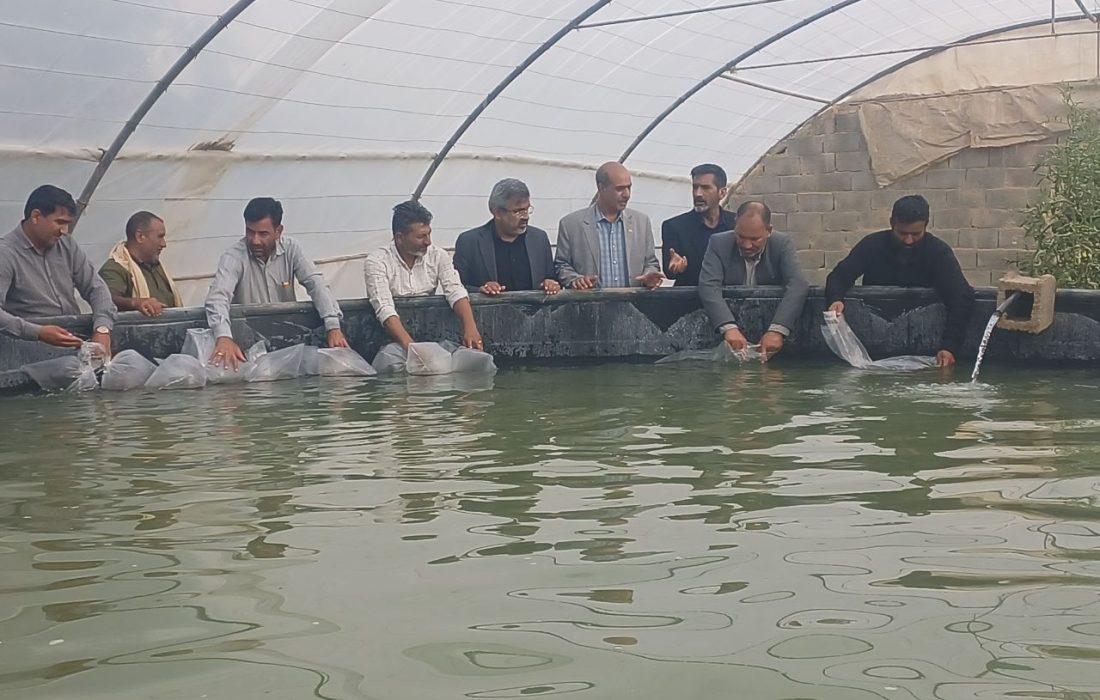 رها سازی بیست هزار پست لارو میگو وانامی