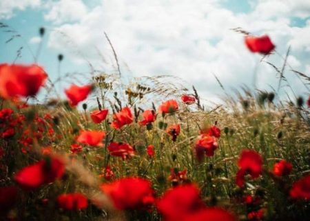 انقلاب ما انقلاب ارزش‌هاست